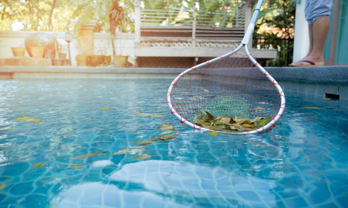 leaves in pool water being scooped by net