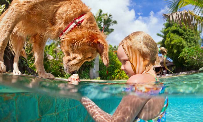 dog and young girl studying seashell in pool
