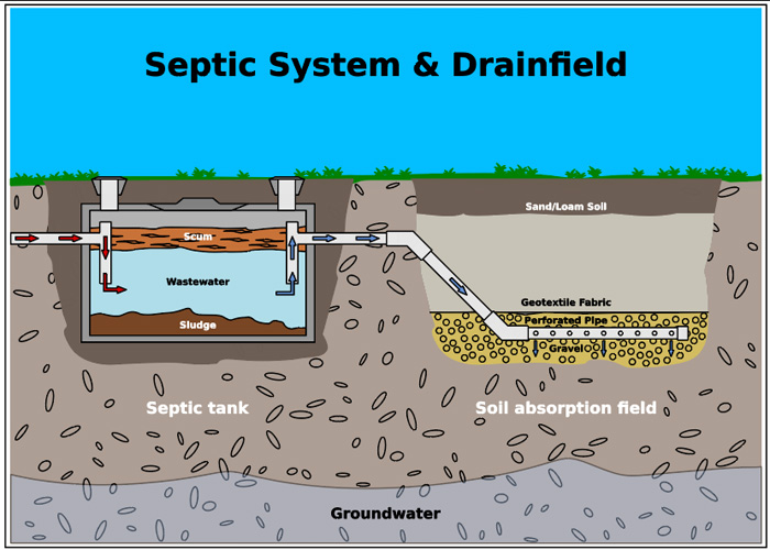 septic system and drainfield drawing